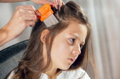 1-pourquoi-les-poux-reviennent-sans-cesse-malgre-les-traitements